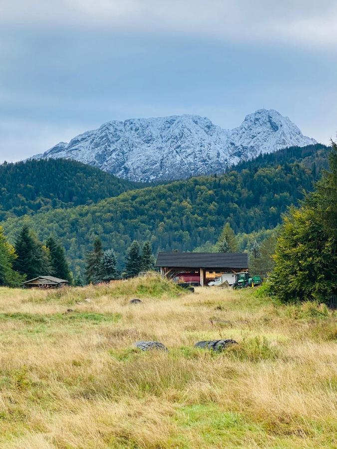 Apartament Mysliwski Zakopane Exterior photo